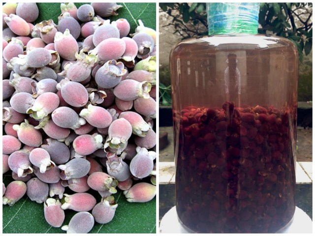 tác dụng của rượu sim đối với sức khỏe