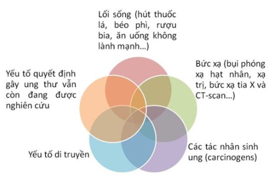 Nguyên Nhân Gây Bênh Ung Thư Phổ Biến Nhất Hiện Nay