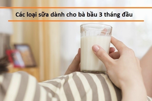 10 Loại Sữa Dành Cho Phụ Nữ Mang Thai 3 Tháng Đầu