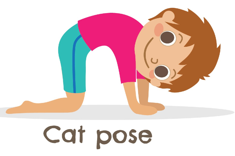 cat-pose
