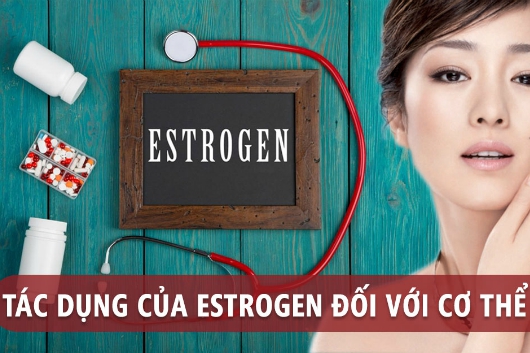 Vai Trò Của Hormone Estrogen Đối Với Sức Khỏe Phụ Nữ
