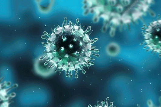 Virus Bệnh Cúm A Gây Ra Triệu Chứng Gì Có Những Biến Chủng Loại Nào