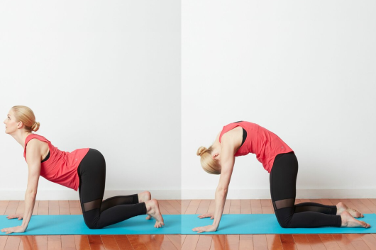 10 Tư Thế Yoga Có Thể Kết Hợp Trước Khi Thực Hành Thiền