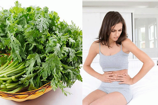 Ngải Cứu Vị Thuốc Trị Rong Kinh Điều Hòa Kinh Nguyệt Của Người Đắk Nông