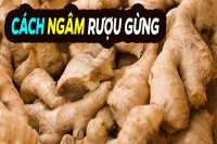 ruou-gung-td