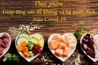 Cac_loai_thuc_pham_tang_suc_de_khang_cho_co_the
