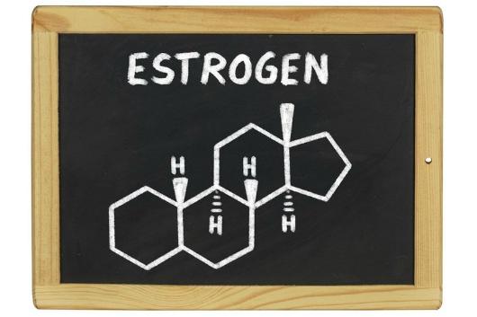 Estrogen Là Gì ? Dấu Hiệu Của Hormone Estrogen Suy Giảm