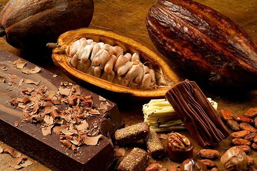 16 Công Dụng Của Cacao Và Liều Dùng Phù Hợp Nhất